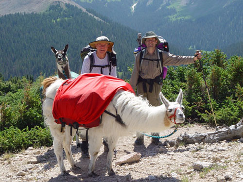 3840KirkEdLlamasDivide