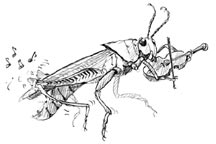 How strong ARE ants?